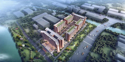 東莞再添創新引擎 超20萬平米高新科技產業園正式動工，聚焦前沿技術開發
